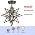 Black Moravian Star Ceiling Light Etched Glass Shade